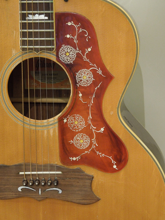 gibson guitar detail - Beth Mostovoy