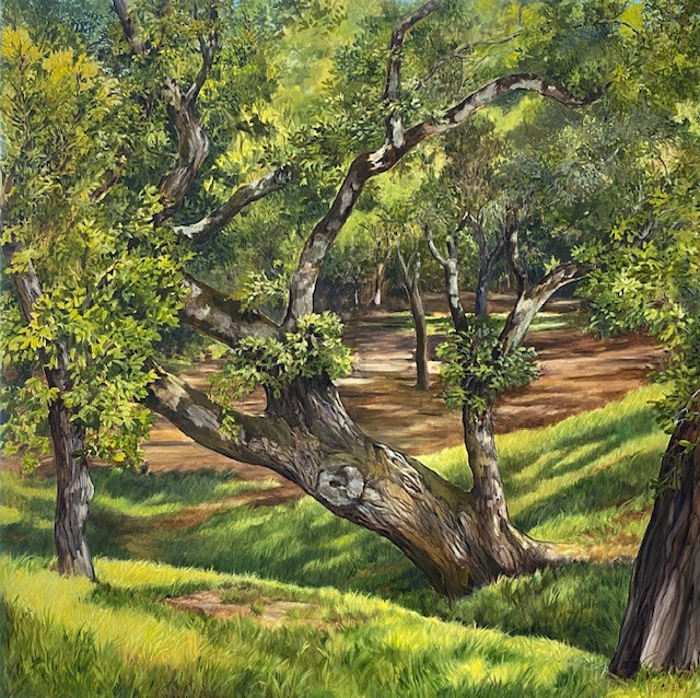 Oak down the Hill oil on canvas 36x36 in